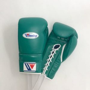 best winninng ms600 gloves