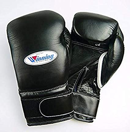 best boxing gloves 2020