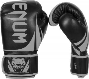 best boxing gloves under 100 dollar