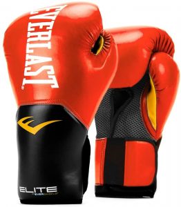best boxing  gloves under 100 dollar 