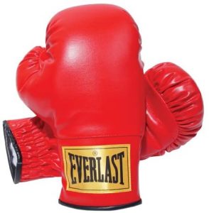 best Everlast Boxing Gloves