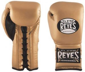Best Cleto Reyes Boxing gloves